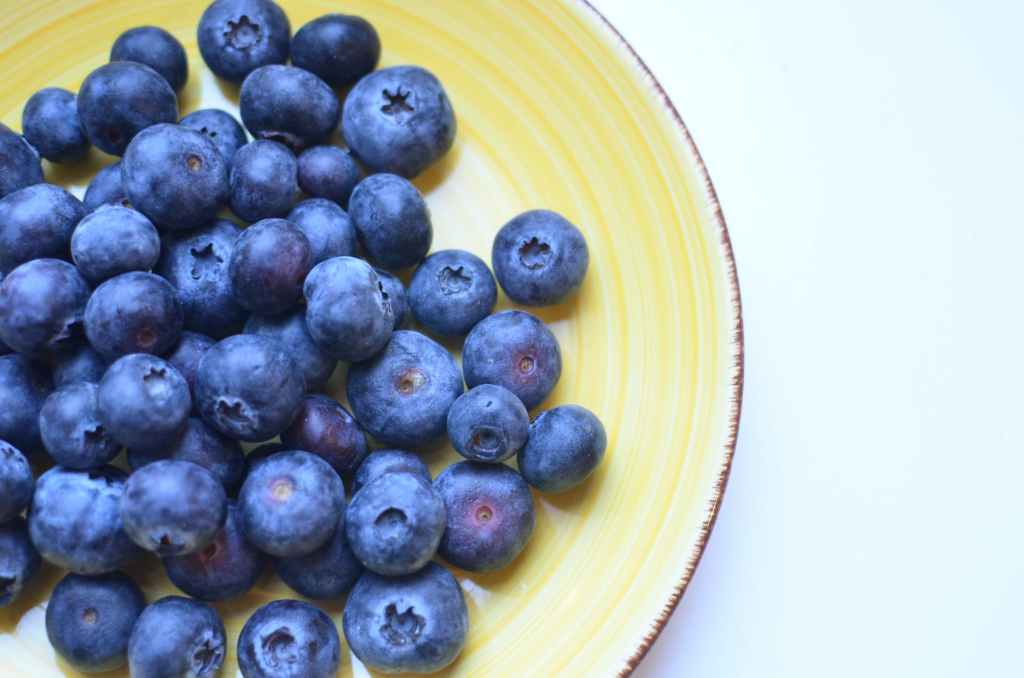 Myrtille fruit baie