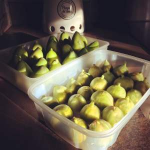 figues blanches